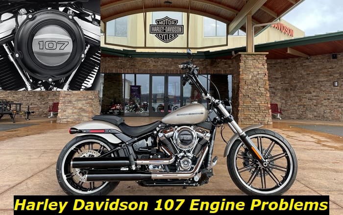 Harley Davidson 107 engine problems (1)